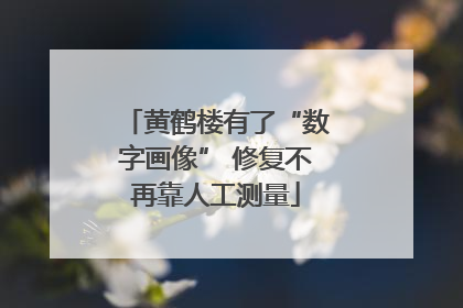 黄鹤楼有了“数字画像” 修复不再靠人工测量