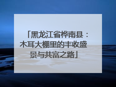 黑龙江省桦南县：木耳大棚里的丰收盛景与共富之路
