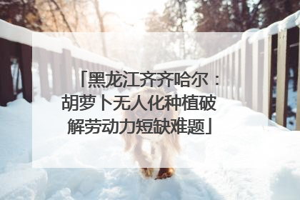 黑龙江齐齐哈尔：胡萝卜无人化种植破解劳动力短缺难题