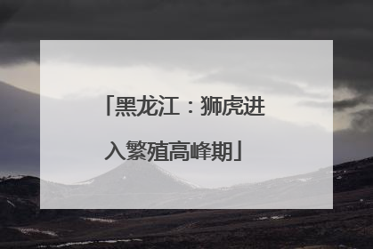 黑龙江：狮虎进入繁殖高峰期