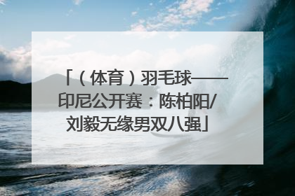 （体育）羽毛球——印尼公开赛：陈柏阳/刘毅无缘男双八强