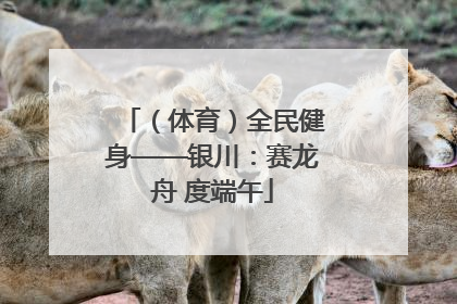 （体育）全民健身——银川：赛龙舟 度端午