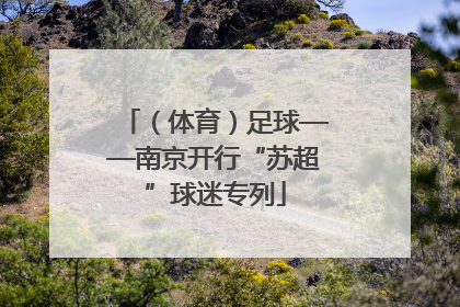 （体育）足球——南京开行“苏超”球迷专列