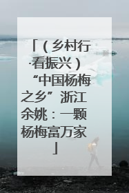 （乡村行·看振兴）“中国杨梅之乡”浙江余姚：一颗杨梅富万家