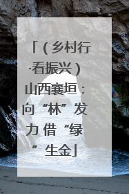 （乡村行·看振兴）山西襄垣：向“林”发力 借“绿”生金