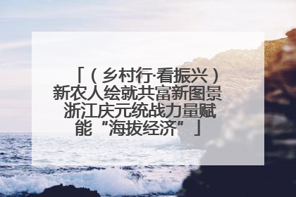 （乡村行·看振兴）新农人绘就共富新图景 浙江庆元统战力量赋能“海拔经济”