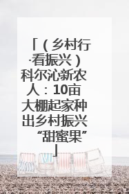 （乡村行·看振兴）科尔沁新农人：10亩大棚起家种出乡村振兴“甜蜜果”