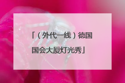 （外代一线）德国国会大厦灯光秀