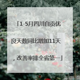 1-5月四川自贡优良天数同比增加11天，改善率排全省第一