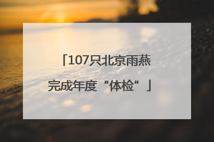 107只北京雨燕完成年度“体检”