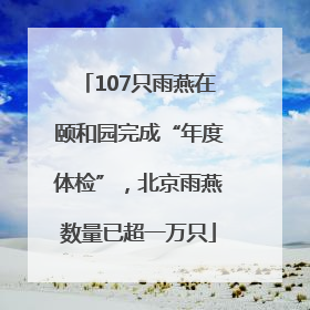 107只雨燕在颐和园完成“年度体检”，北京雨燕数量已超一万只