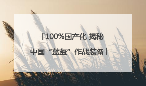 100%国产化 揭秘中国“蓝盔”作战装备