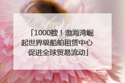 1000艘！渤海湾崛起世界级船舶租赁中心 促进全球贸易流动