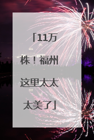 11万株！福州这里太太太美了