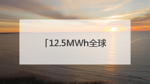 12.5MWh全球最大容量储能系统发布 合肥一季度储能系统同比增长425%