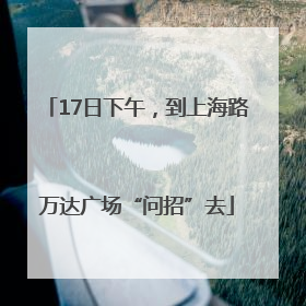 17日下午，到上海路万达广场“问招”去