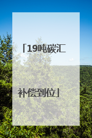 19吨碳汇补偿到位