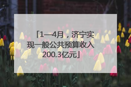 1—4月，济宁实现一般公共预算收入200.3亿元