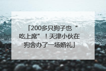 200多只狗子也“吃上席”！天津小伙在狗舍办了一场婚礼