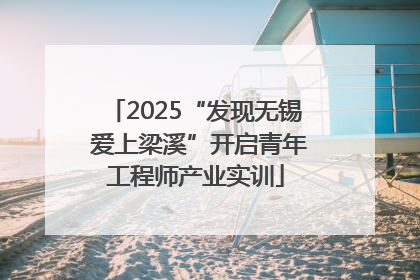 2025“发现无锡 爱上梁溪”开启青年工程师产业实训