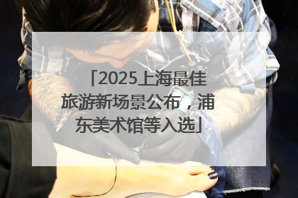 2025上海最佳旅游新场景公布，浦东美术馆等入选