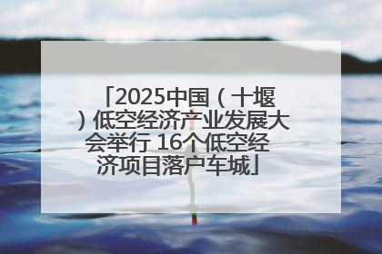 2025中国（十堰）低空经济产业发展大会举行 16个低空经济项目落户车城