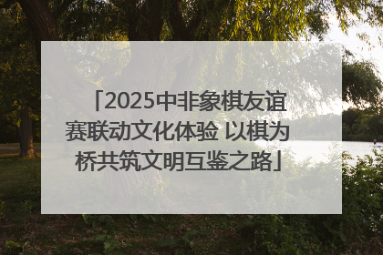 2025中非象棋友谊赛联动文化体验 以棋为桥共筑文明互鉴之路