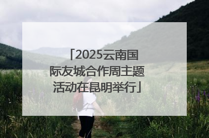 2025云南国际友城合作周主题活动在昆明举行