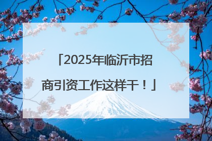 2025年临沂市招商引资工作这样干！