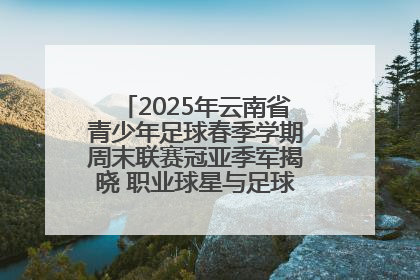 2025年云南省青少年足球春季学期周末联赛冠亚季军揭晓 职业球星与足球小将共享荣耀时刻