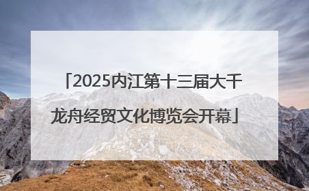 2025内江第十三届大千龙舟经贸文化博览会开幕