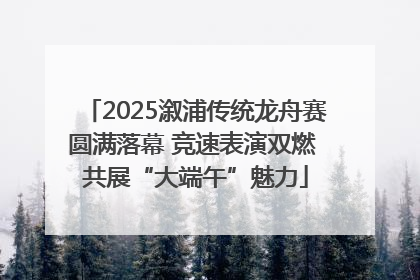 2025溆浦传统龙舟赛圆满落幕 竞速表演双燃 共展“大端午”魅力