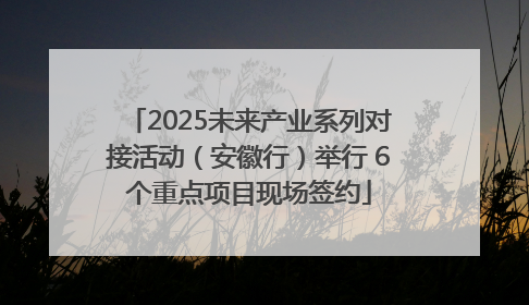 2025未来产业系列对接活动（安徽行）举行 6个重点项目现场签约