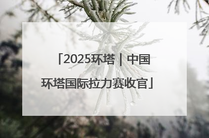 2025环塔｜中国环塔国际拉力赛收官