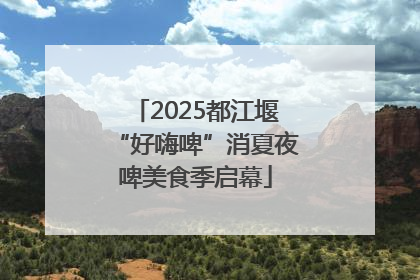 2025都江堰“好嗨啤”消夏夜啤美食季启幕