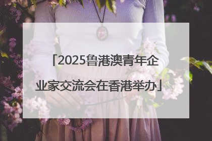 2025鲁港澳青年企业家交流会在香港举办