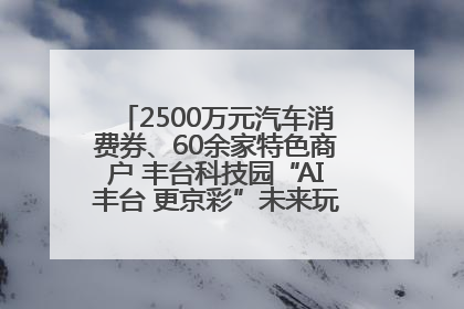 2500万元汽车消费券、60余家特色商户 丰台科技园“AI丰台 更京彩”未来玩家市集活动正式开幕