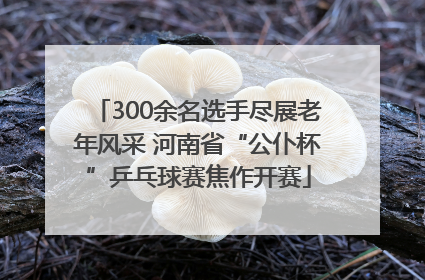 300余名选手尽展老年风采 河南省“公仆杯”乒乓球赛焦作开赛