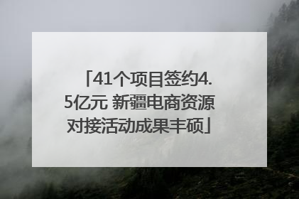 41个项目签约4.5亿元 新疆电商资源对接活动成果丰硕