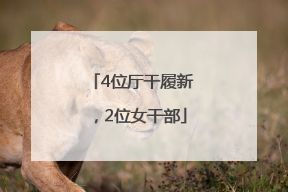 4位厅干履新，2位女干部