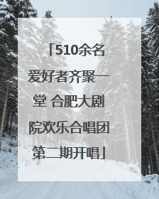 510余名爱好者齐聚一堂 合肥大剧院欢乐合唱团第二期开唱