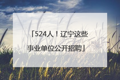 524人！辽宁这些事业单位公开招聘