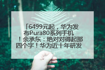 6499元起，华为发布Pura80系列手机！余承东：绝对对得起那四个字！华为近十年研发投入12490亿元