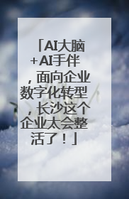 AI大脑+AI手伴，面向企业数字化转型，长沙这个企业太会整活了！
