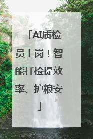AI质检员上岗！智能扦检提效率、护粮安