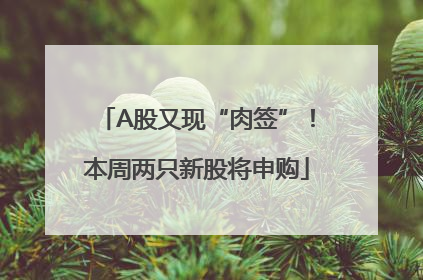 A股又现“肉签”！本周两只新股将申购