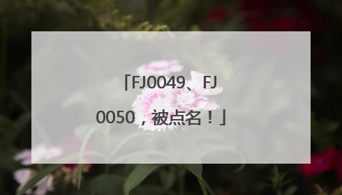 FJ0049、FJ0050，被点名！