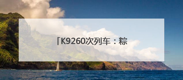 K9260次列车：粽香飘散处 铺就连心路