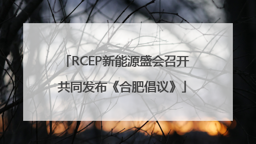 RCEP新能源盛会召开 共同发布《合肥倡议》
