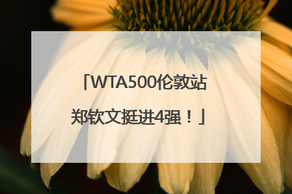 WTA500伦敦站 郑钦文挺进4强！